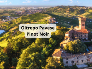 Oltrepo Pavese Pinot Noir www